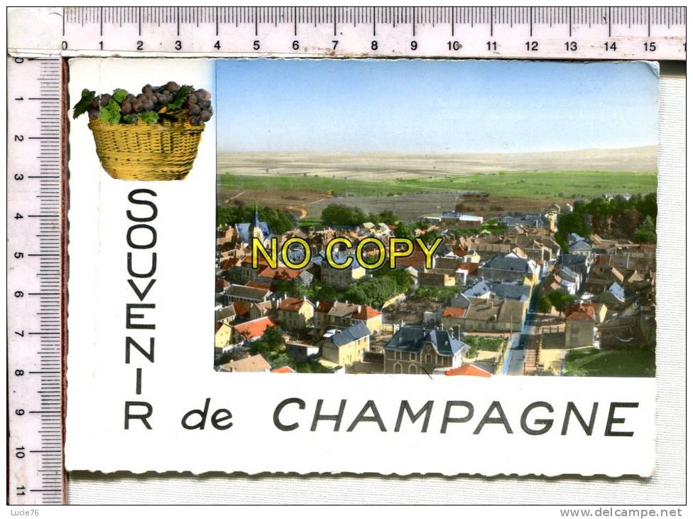 RILLY LA MONTAGNE  -  Vue Panoramique Vers Le Vignoble   - En Avion Au Dessus De... - Souvenir De Champagne - Rilly-la-Montagne