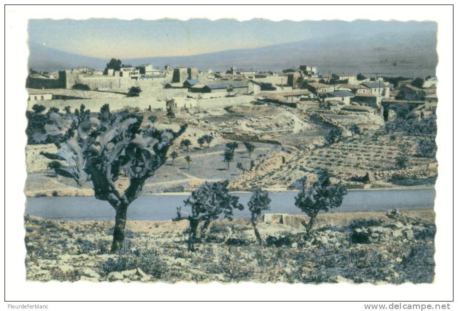 TEBESSA (Algérie ) - CPSM -Vue Générale - Tebessa