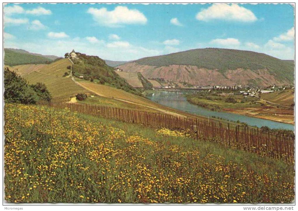 ALF-BULLAY A.d. Mosel - Alf-Bullay