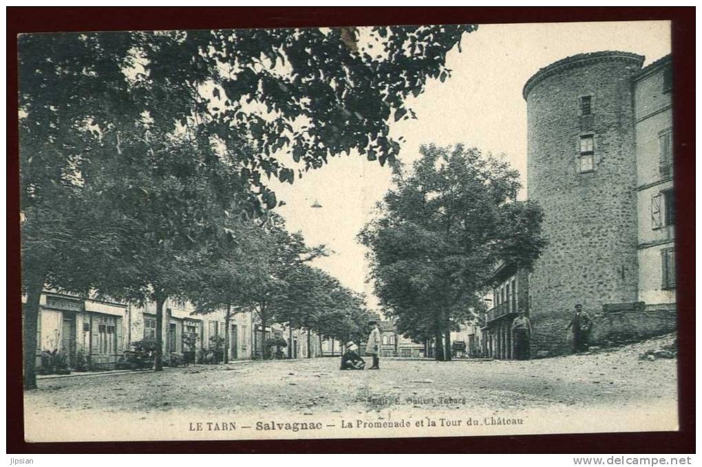 Cpa Du 81  Salvagnac La Promenade Et La Tour Du Château    NW30 - Salvagnac