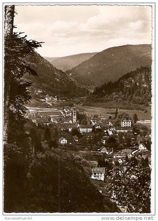 AK 1828885 Luftkurort HIRSAU (Schwarzwald) Blick Ins Nagoldtal ECHT FOTO - Calw