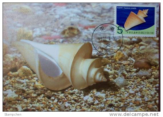 Maxi Cards Taiwan 2010 Seashell Stamps (IV) Shell Marine Life Fauna - Cartes-maximum