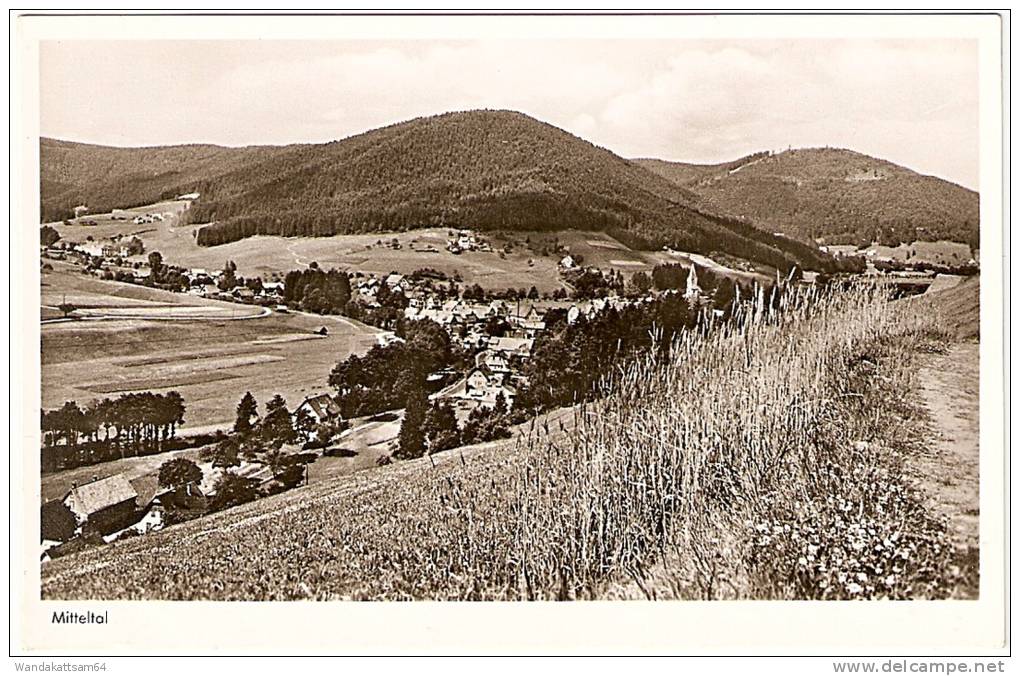 AK 3639 Luftkurort MITTELTAL 600 - 700 M ü. M. Gemeinde Baiersbronn Im Schwarzwald FIEDLER-VERLAG - Baiersbronn