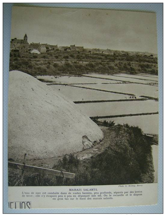 Gravure :  Les Marais Salants , D'aprés Une Photo De G Bretocq A Rosay - Estampas & Grabados