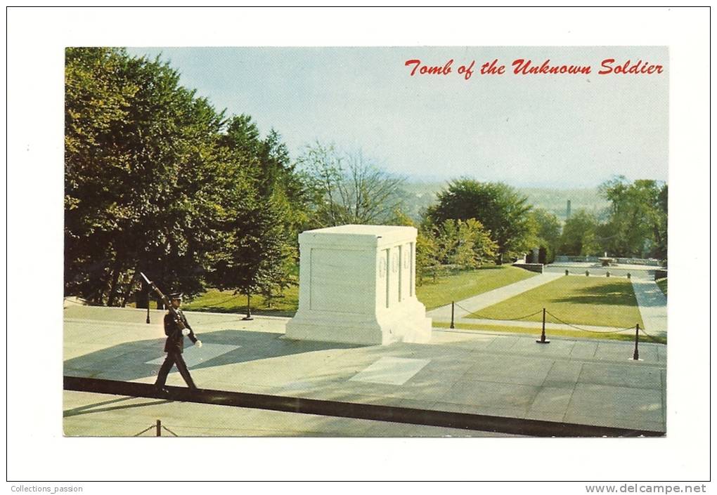 Cp, Etats-Unis, Washington, Tomb Of The Unknowns - Autres & Non Classés