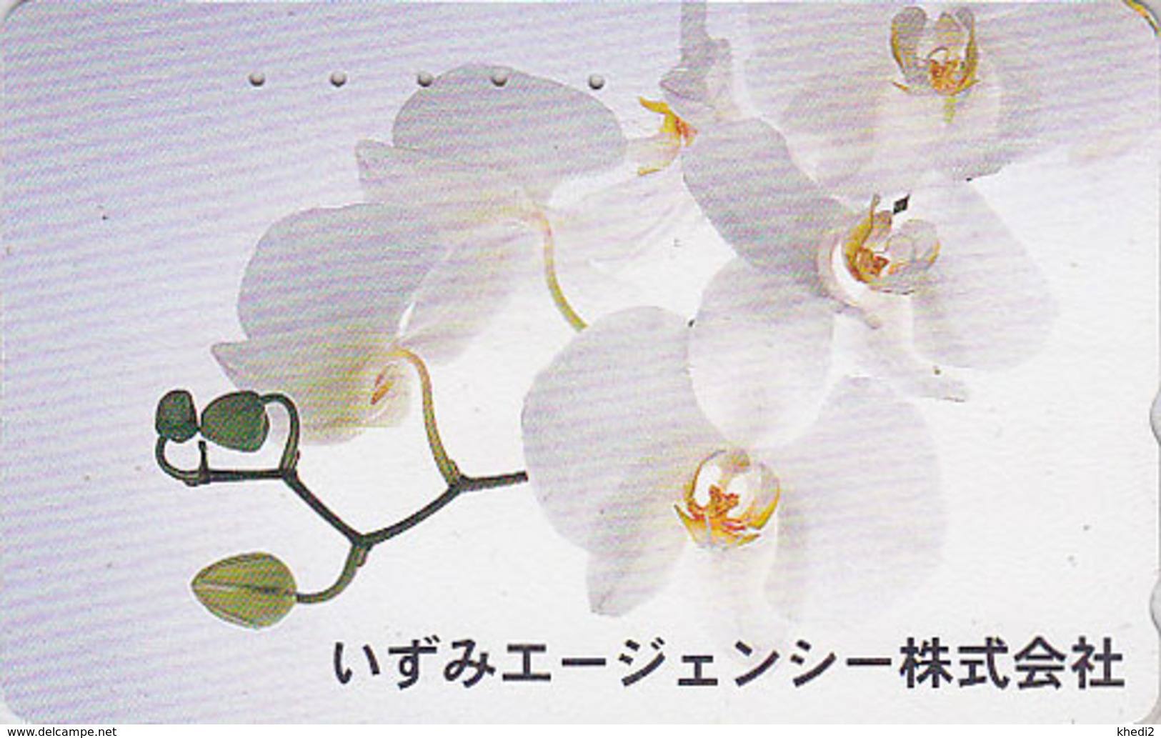 Télécarte Japon / 110-016 - Fleur ORCHIDEE - ORCHID Flower Japan Phonecard - Blume Telefonkarte - ORQUIDEA - 1163 - Fleurs