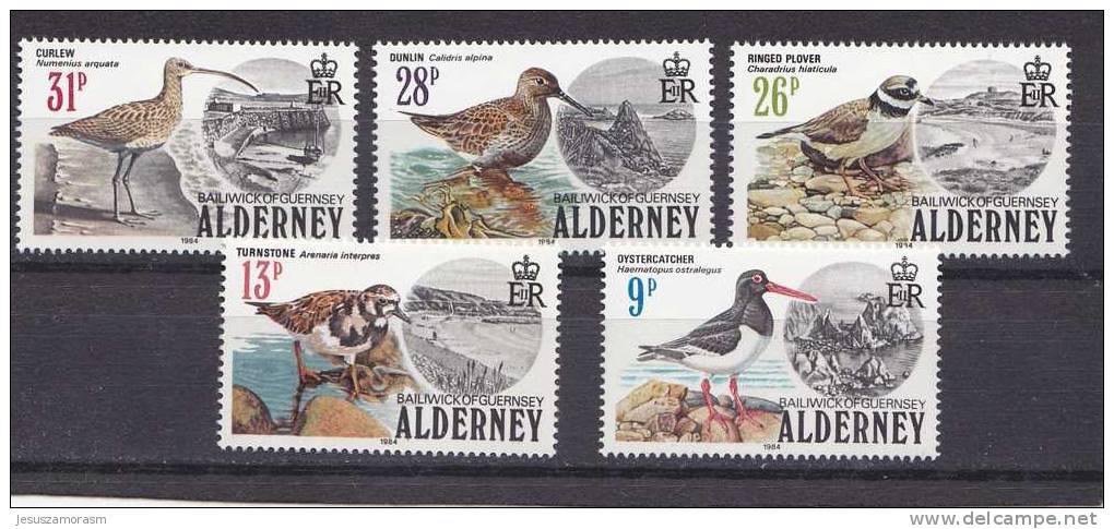 Alderney Nº 13 Al 17 - Alderney