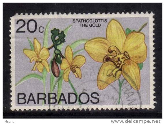 Barbados Used 1974, 20c Orchids, The GOLD - Barbades (1966-...)