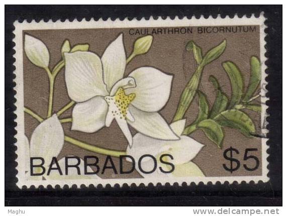 Barbados Used 1974, Orchids, $5.00 - Barbades (1966-...)