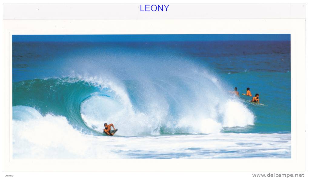 SUPER CARTE POSTALE NEUVE 15X30 - Groupe EDITOR - SURF - Water-skiing