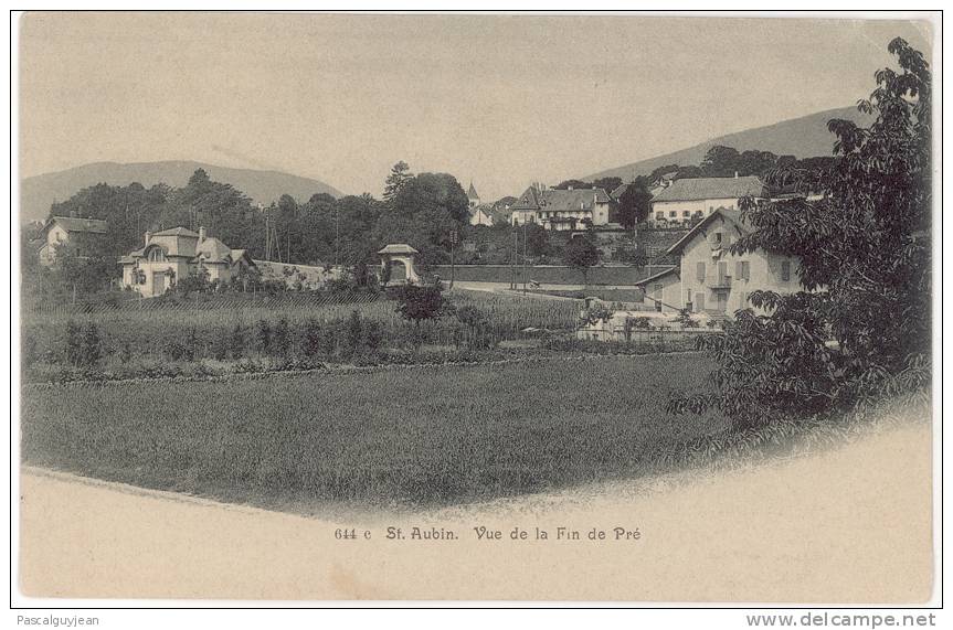 CPA SAINT-AUBIN - VUE DE LA FIN DE PRE - Saint-Aubin/Sauges