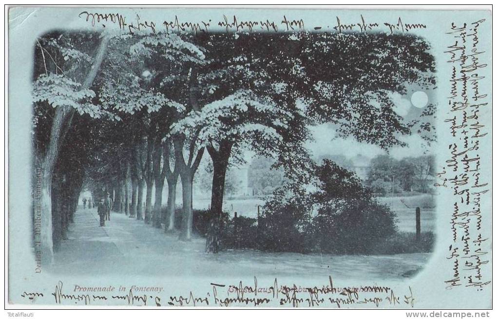 Gruss Aus Hamburg Harvestehude Promenade In Fontenay Eimsbüttel Belebt Mondscheinkarte 11.12.1899 - Eimsbüttel