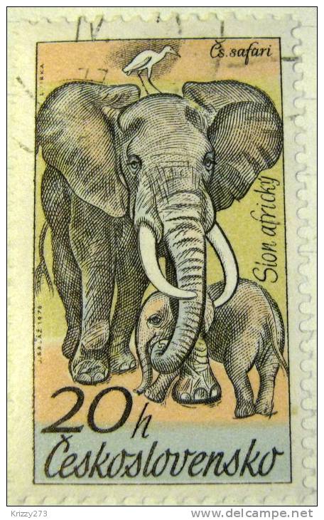Czechoslovakia 1976 Elephant 20h - Used - Used Stamps