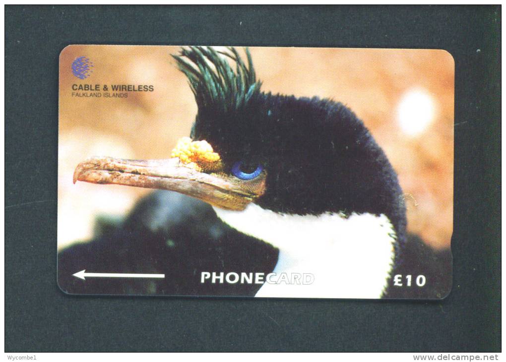 FALKLAND ISLANDS  -  Magnetic Phonecard As Scan - Falkland Islands