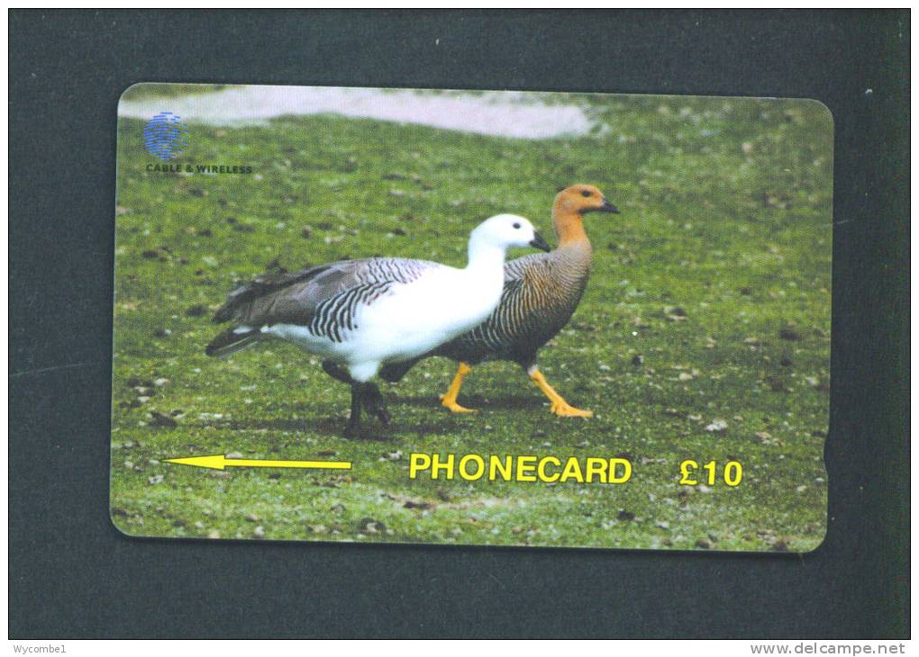 FALKLAND ISLANDS  -  Magnetic Phonecard As Scan - Falklandeilanden