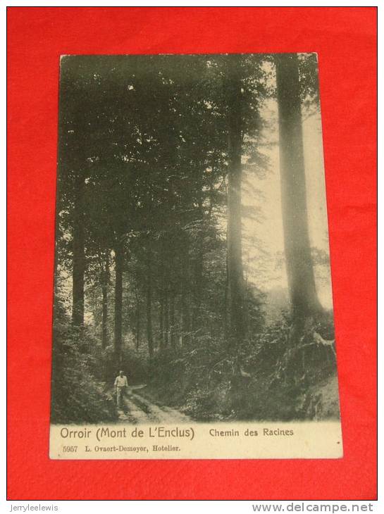 Orroir - Mont De L´Enclus -  Chemin Des Racines   -  1908   - ( 2 Scans ) - Kluisbergen