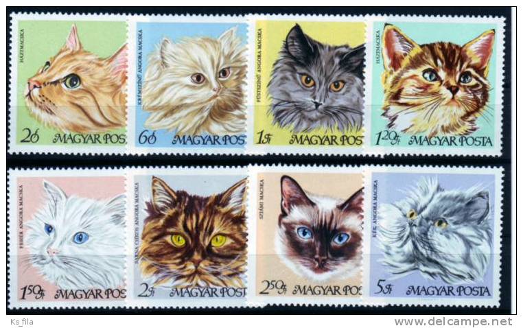 HUNGARY - 1968. Cats - MNH - Unused Stamps