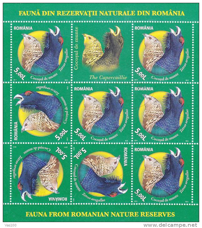 BIRDS,CHIENS  2011 USED  4X MINISHEET 8 STAMPS + LABELS ROMANIA. - Usati