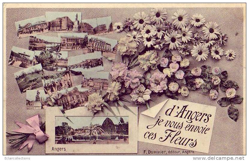 CPA..Maine Et Loire..49... Angers..Fantaisie..' Je Vous Envoie Ces Fleurs " Multivues - Angers