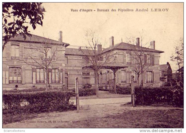 CPA..Maine Et Loire..49... Angers...Pépinières  André Leroy: Les Bureaux - Angers