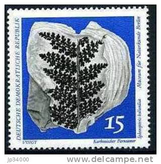 ALLEMAGNE - DDR: Fossile. 1 Valeur FOSSILE / CONIFERE / FOUGERE (2) ** Neuf Sans Charniere (MNH) - Fossilien