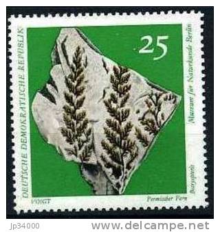 ALLEMAGNE - DDR: Fossile. 1 Valeur FOSSILE / CONIFERE / FOUGERE (3) ** Neuf Sans Charniere (MNH) - Fossils