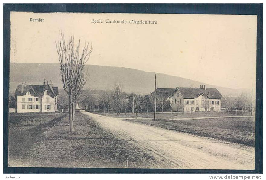 Cernier, Ecole Cantonale D´Agriculture, - Cernier