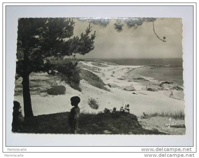 M620 -  BEG MEIL  La Grande Plage Et Les Dunes Boisées De Pins  Carte De 1958 - Beg Meil