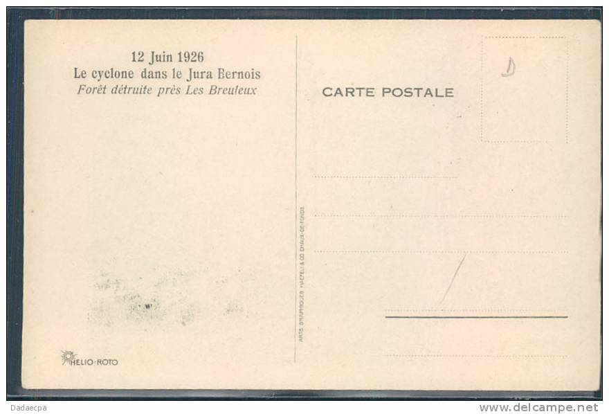 12 Juin, Le Cyclone Dans Le Jura Bernois, Fôret Détruite Près De Breuleux, - Les Breuleux