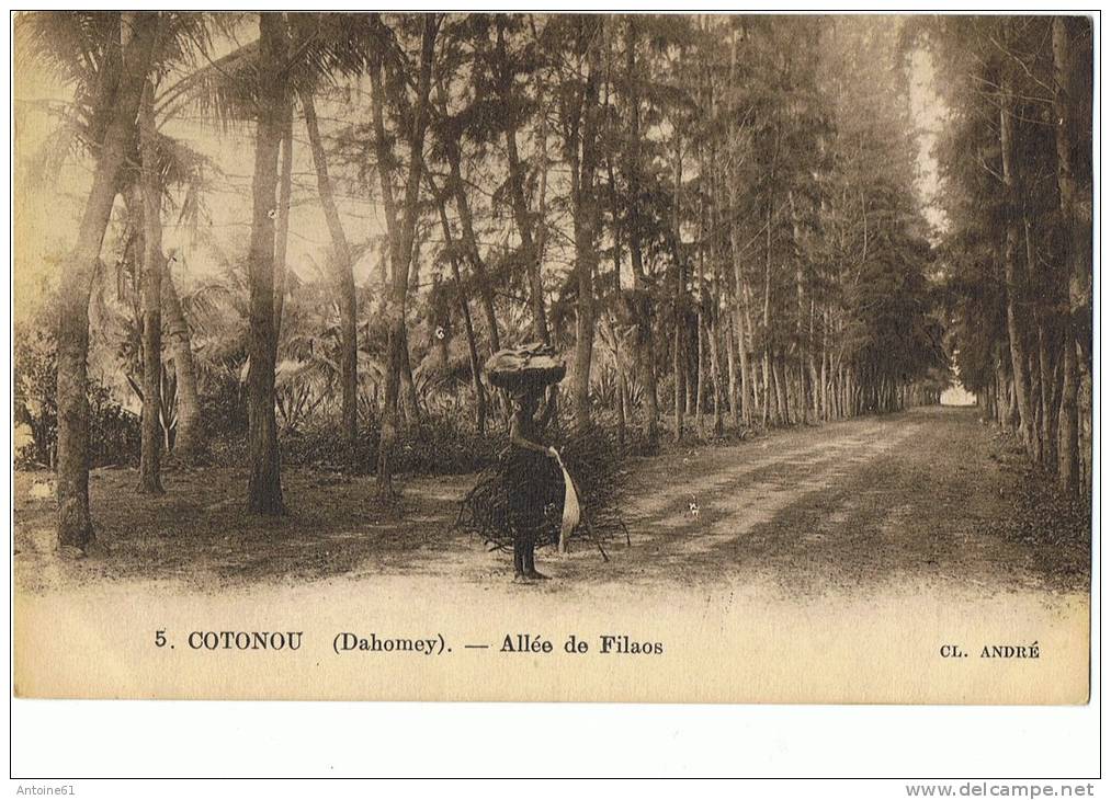 COTONOU ---Allée De Filaos - Dahomey