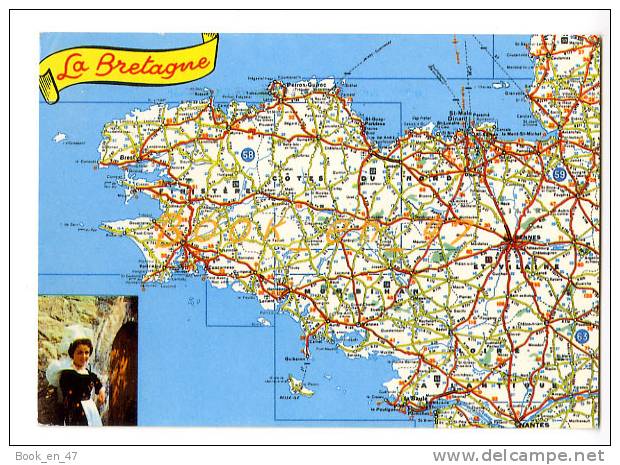 {56502} La Bretagne Les Départements Bretons , Carte Et Vue - Cartes Géographiques