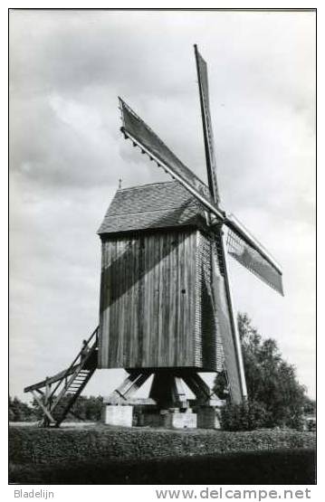 SINT-MARTENS-LATEM (O.Vl.) - Molen / Moulin - De Koutermolen Met Volle Zeilen, Hier Nog Met Open Voet. - Sint-Martens-Latem