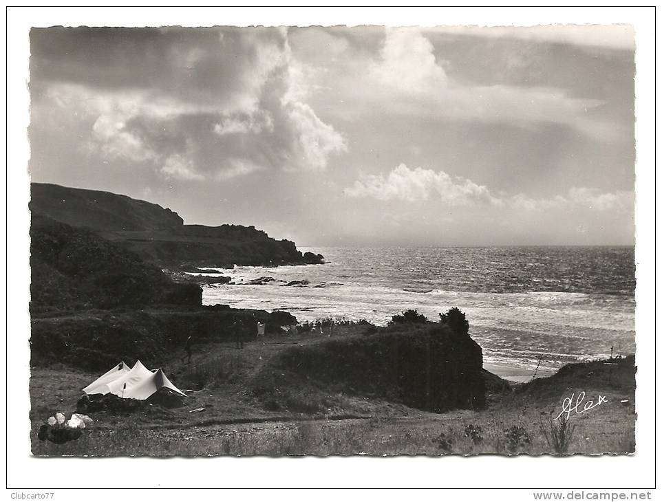 Beaumont Hague (50) : Camping Dans La Baie D'Ecalgrain En 1950 (animée) PHOTO VERITABLE. - Beaumont