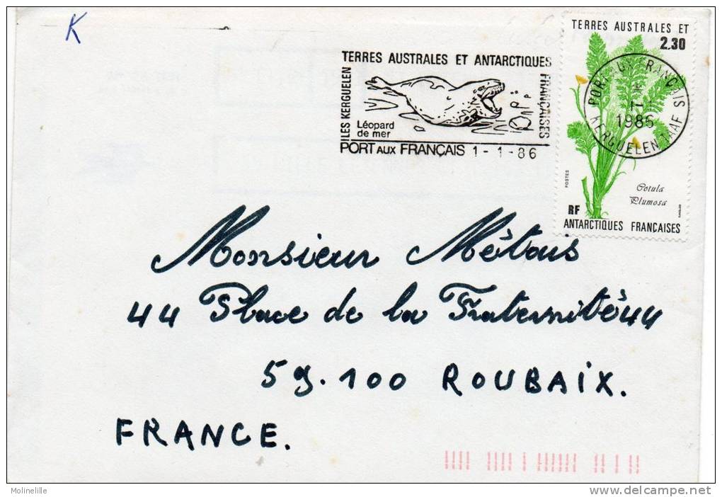 T.A.A.F   FDC - N° 118 Sur Envel. : FLORE : COTULA PLUMOSA - Cachet PORT AUX FRANCAIS - Léopard Des Mers - FDC