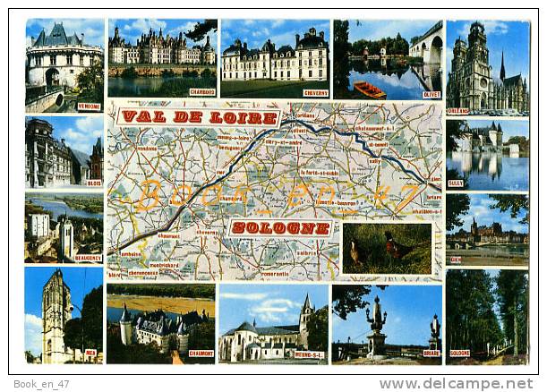 {56488} Val De Loire Sologne De Briare à Amboise , Carte Et Multivues ; Olivet , Vendome , Blois , Mer , Gien , Sully - Cartes Géographiques