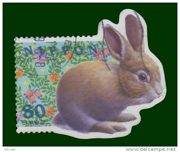 Collection LAPIN - LIEVRE 11 TP Diff.Obl. - Conejos