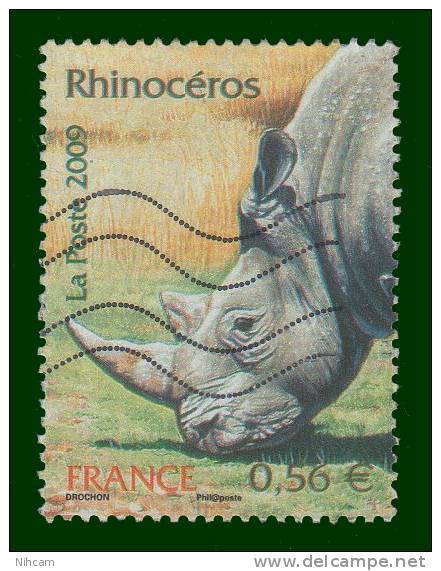 Collection  RHINOCEROS 12 TP  Diff. Obl. - Rhinoceros