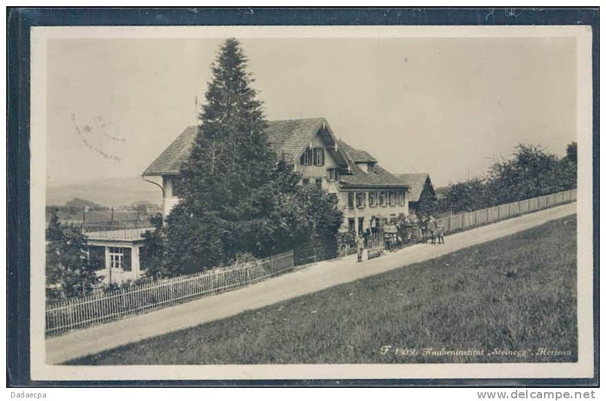 Steinegg, Herisau, Knabeninstitut, Animée, - Herisau