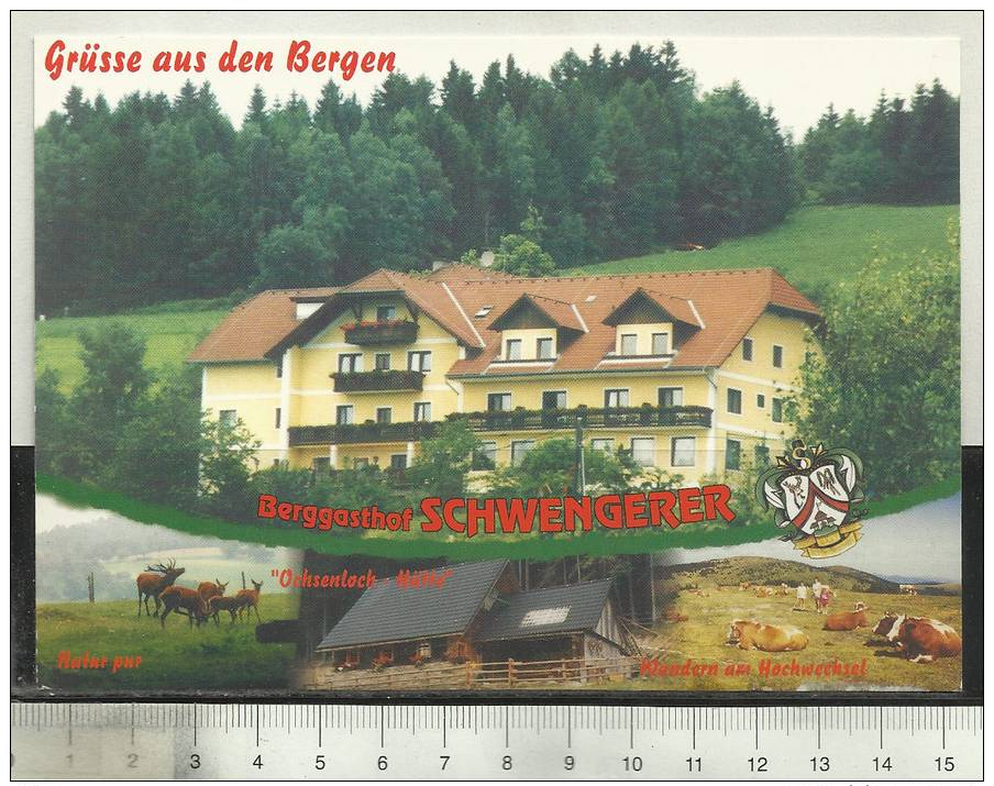 Steiermark Mönichwald Berggasthof Schwengerer - Sonstige & Ohne Zuordnung