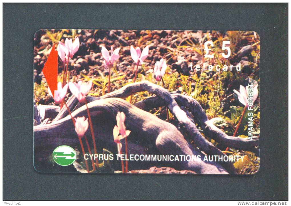 CYPRUS  -  Magnetic Phonecard As Scan - Cyprus