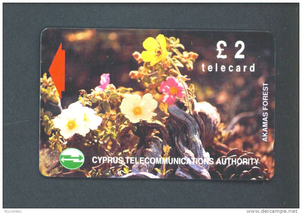 CYPRUS  -  Magnetic Phonecard As Scan - Cyprus