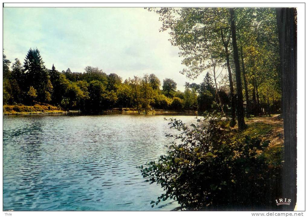 SAUTIN - Hostellerie Du Chateau-Doyen - Sivry-Rance