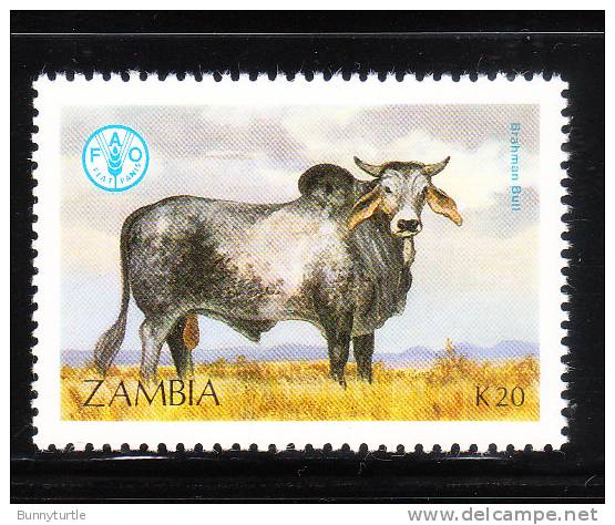 Zambia 1987 World Food Day Cattle 20k MNH - Zambia (1965-...)