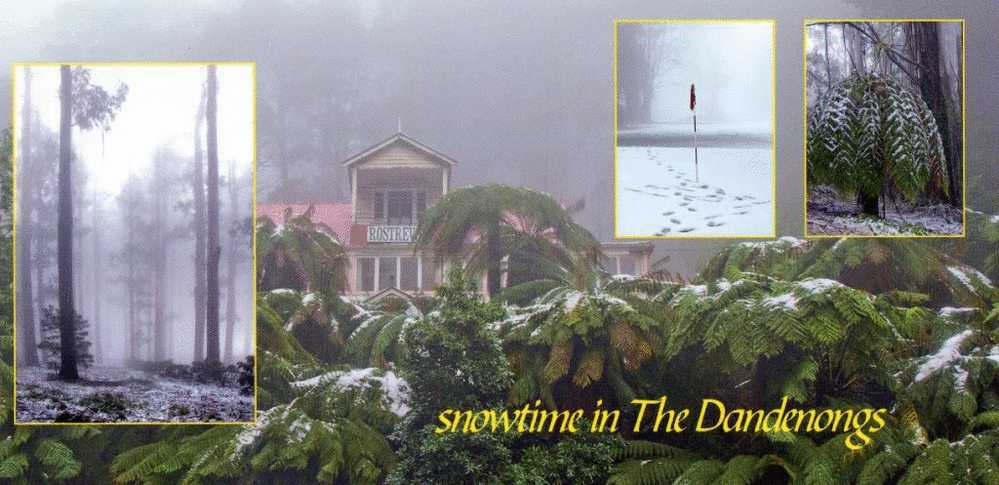 Australia Victoria - Snowtime In The Dandenong Ranges - Sassafras, Olinda Unused - Altri & Non Classificati