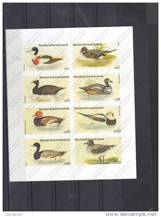 GUINEA   ECUATORIAL Nº 152 - Canards