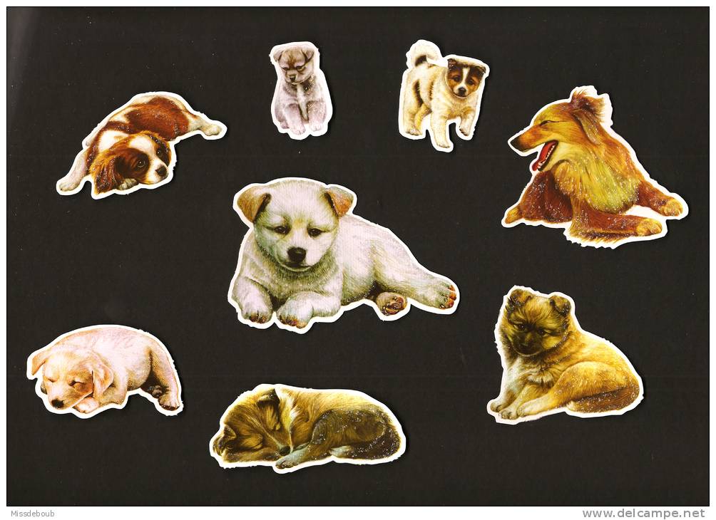 LOT De 6 Chromos Decoupis à Paillettes - Chiens  Chiots  Dog  - - Animaux