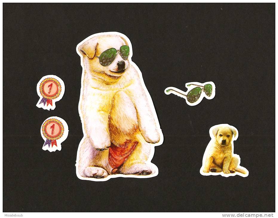 LOT De 6 Chromos Decoupis à Paillettes - Chien  Chiot  Dog  - Superstar - Medaille N°1 - Animaux