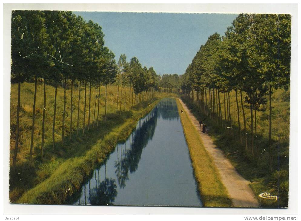 CPM - VILLEPARISIS - MITRY-le-NEUF (77) Le Canal De L'Ourcq à Villeparisis (pêcheur - Promeneur Avec Vélo) - Villeparisis