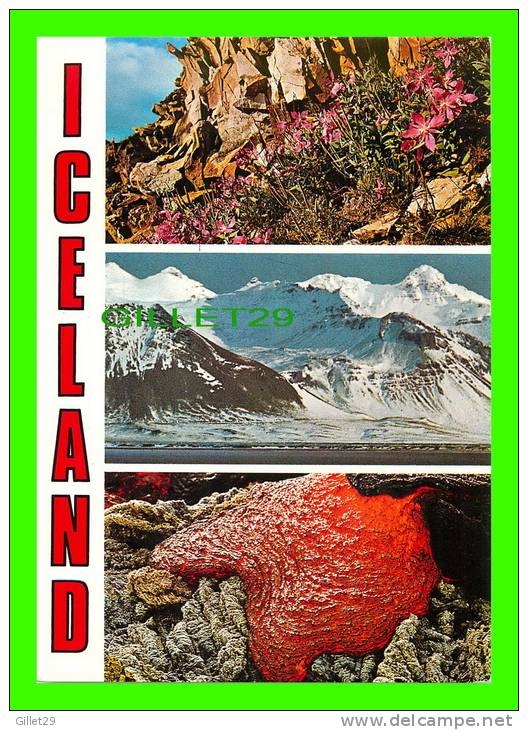 ICELAND - PARADICE OF BOTANISTS, GEOLOGISTS AND TOURISTS - LITBRA H.F. - - Islandia