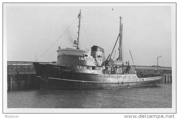 Remorqueur KORAL - Photo Ancienne Et Authentique - Tugboats